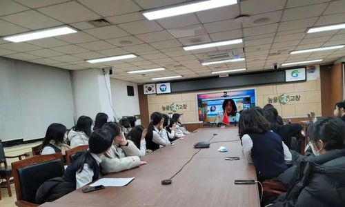 2021中韓學(xué)生線上文化交流活動(dòng)在棗莊市實(shí)驗(yàn)學(xué)校成功舉辦市場(chǎng)營(yíng)銷策劃方案